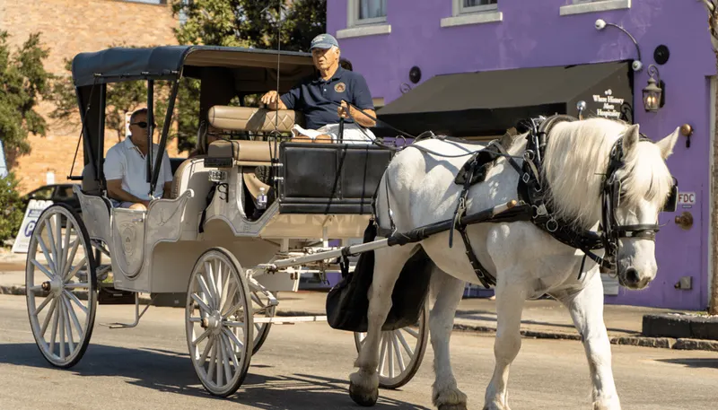 Charleston: Historic Carriage Tour of Charleston